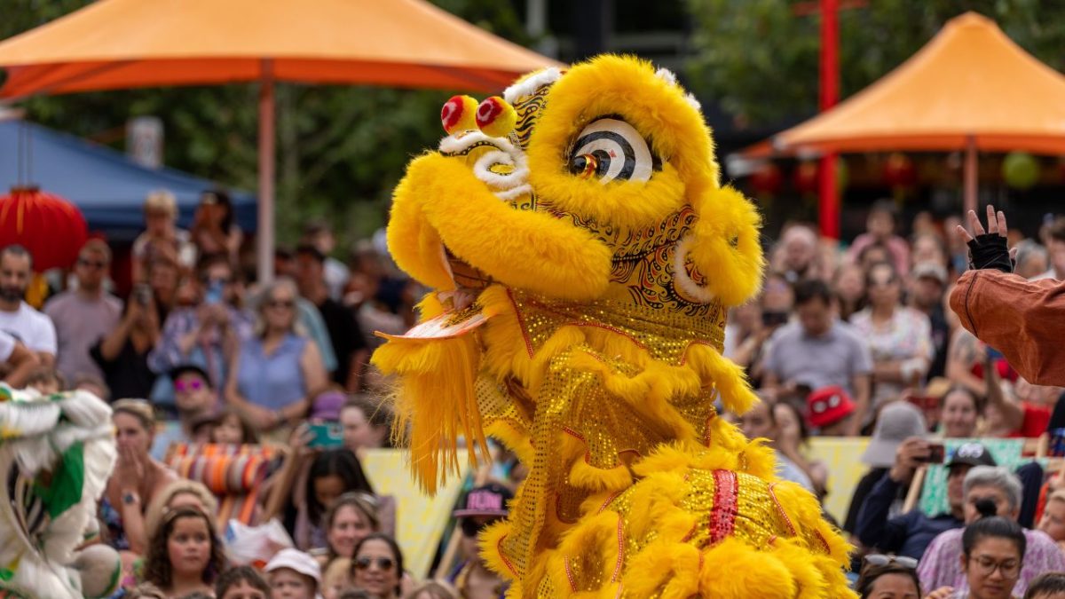 Chinese lion dance at Lunar New Year celebration