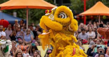 Slithering into the festivities: Where to celebrate Lunar New Year 2025 in Canberra