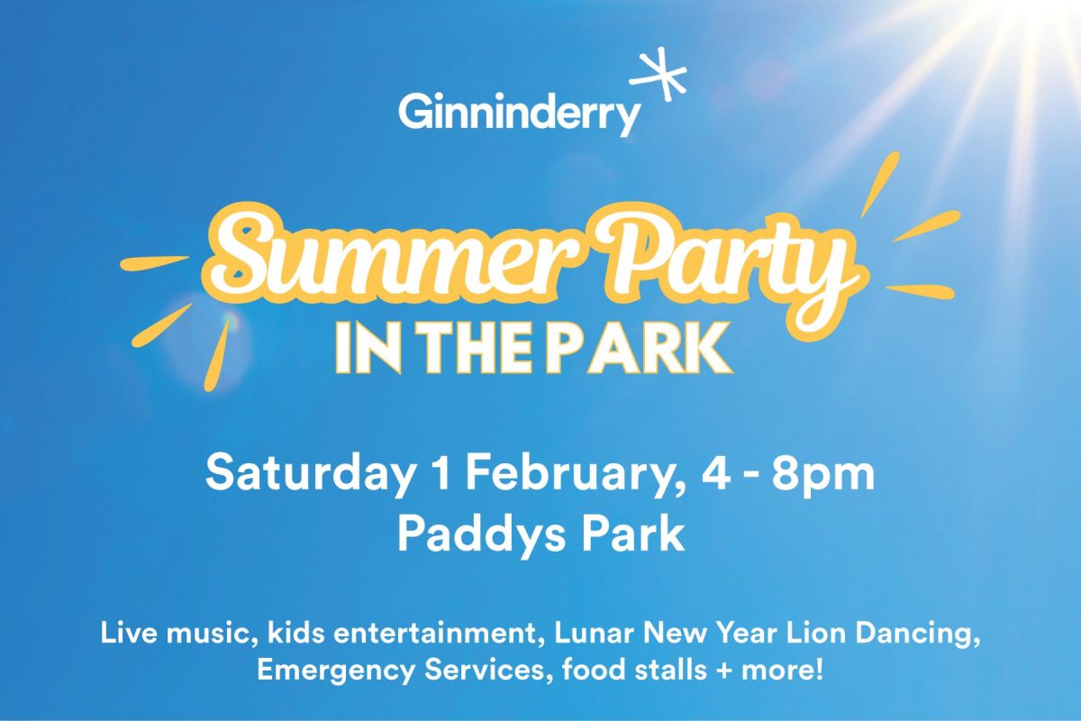 Summer Party in the Park event poster