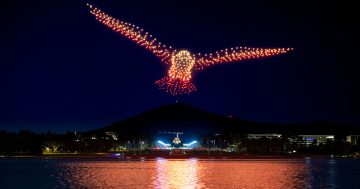 Things to do in Canberra this week (24 January to 30 January)