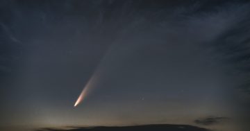 Last chance to see the brightest comet of the year for at least 100,000 years