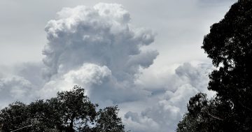 Severe thunderstorms, damaging winds and possible hail on the way, BOM warns