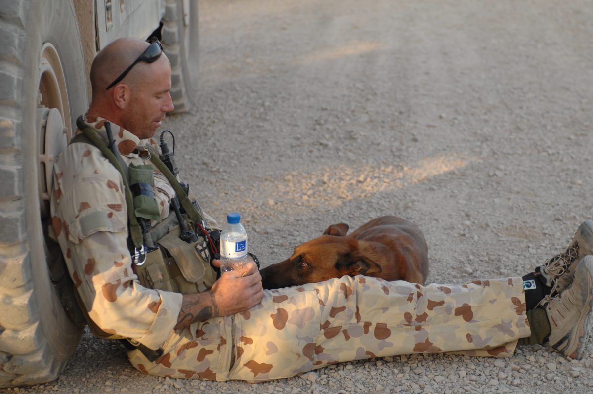 An SAS soldier with a dog