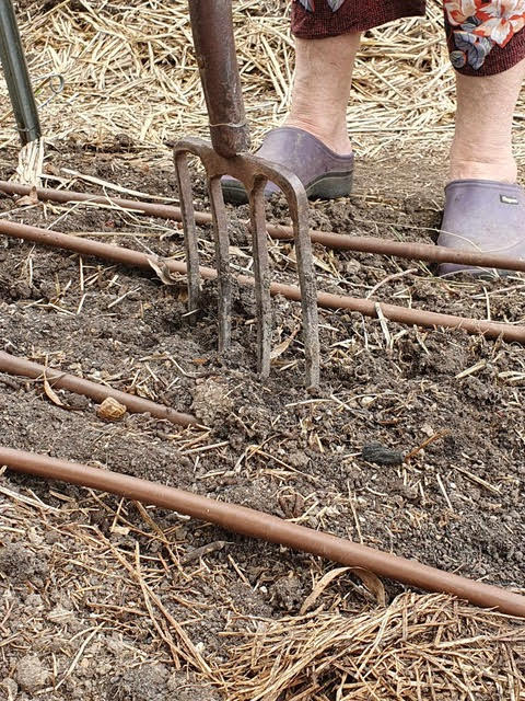 woman gardening