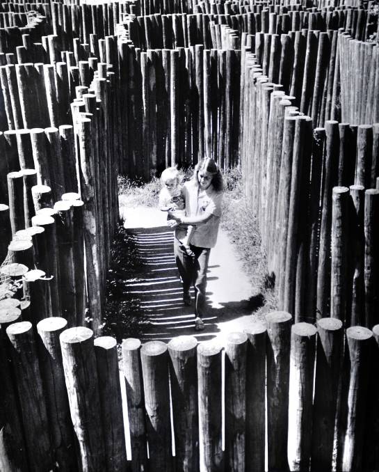 An adult and child walk through a maze.