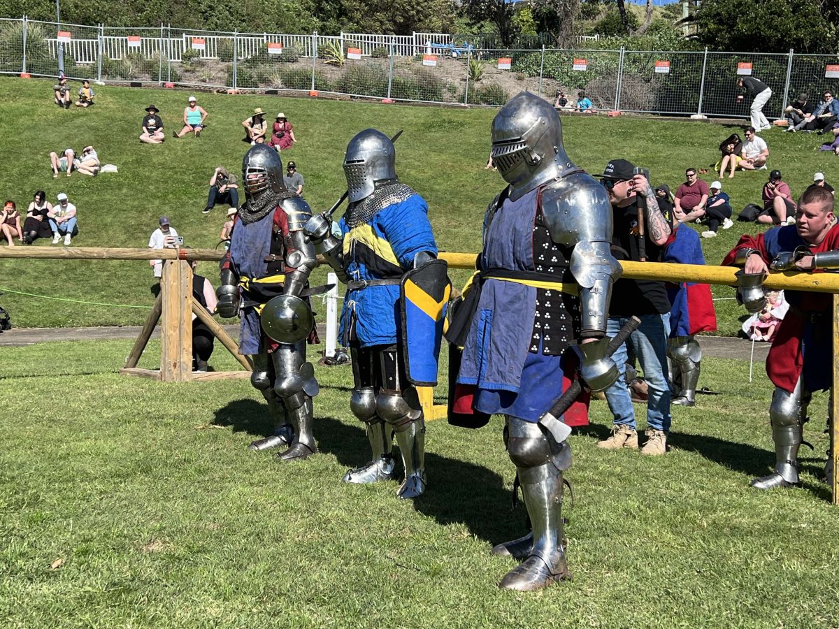 Medieval combat club members