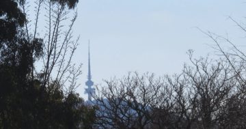 Meet the man on a mission to capture Telstra Tower from every ACT suburb