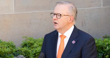 'Very fine man' Albo pushes Australia's case over tariffs with Trump