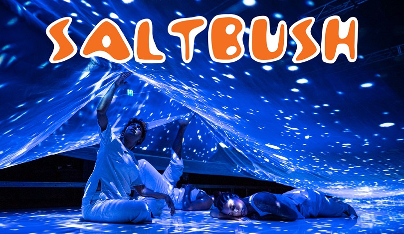 promotional image for saltbush showing three people under a lit tarp