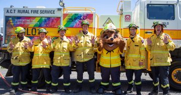 Meet the fiery volunteers fighting to protect our beautiful bush capital