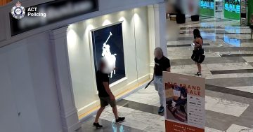 Hunt continues for machete-wielding man and accomplice who allegedly threatened shopping centre workers