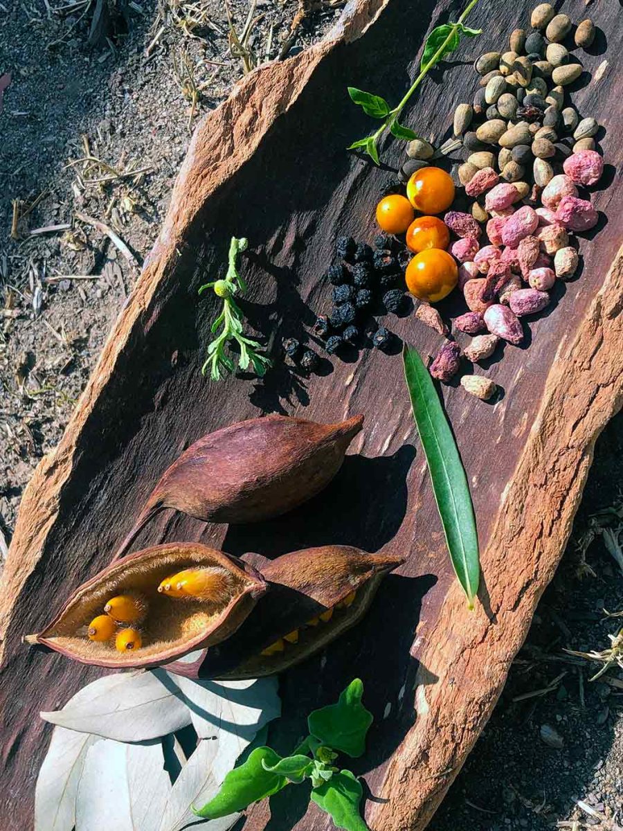 a photo of bush tucker arranged on bark 