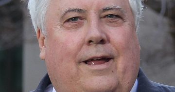 Palmer to parrot Trump in federal election