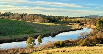 'High point' of new Yass River development to be revealed at community open day