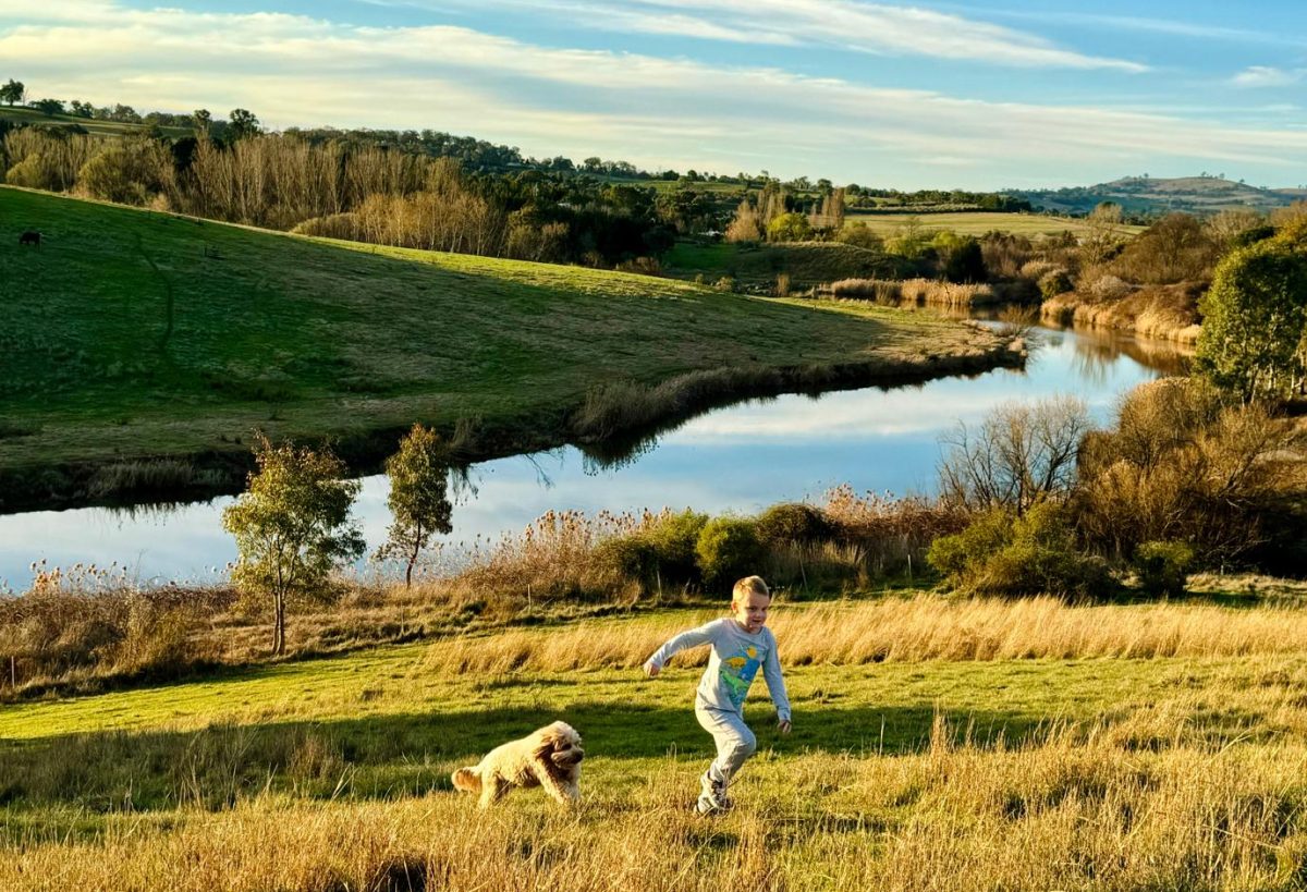 Child and dog run across field by river