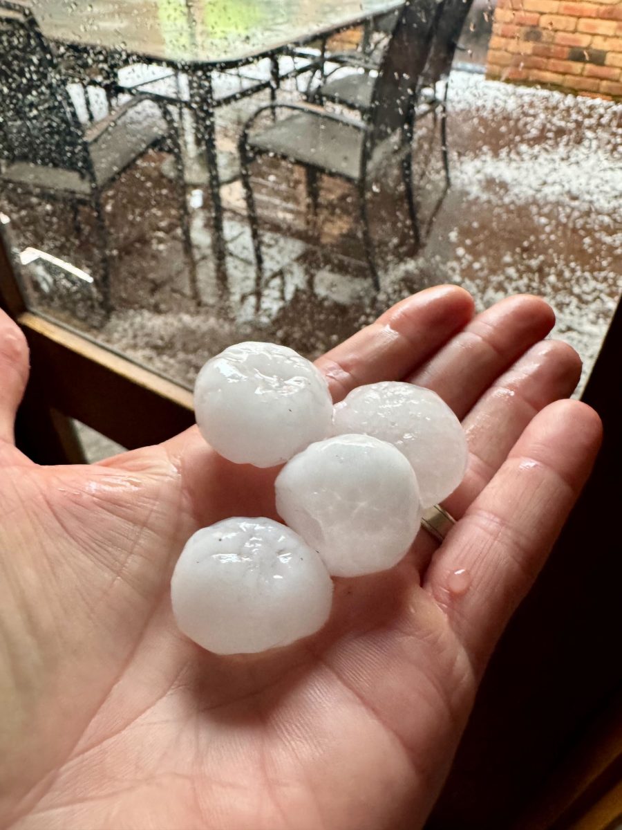 hailstorm Canberra (February 2025)