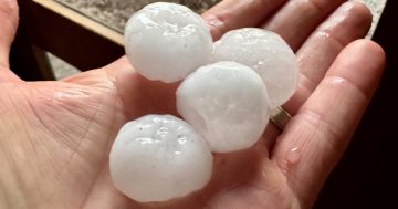 'Golf ball sized hail' reported as storms hammer Canberra