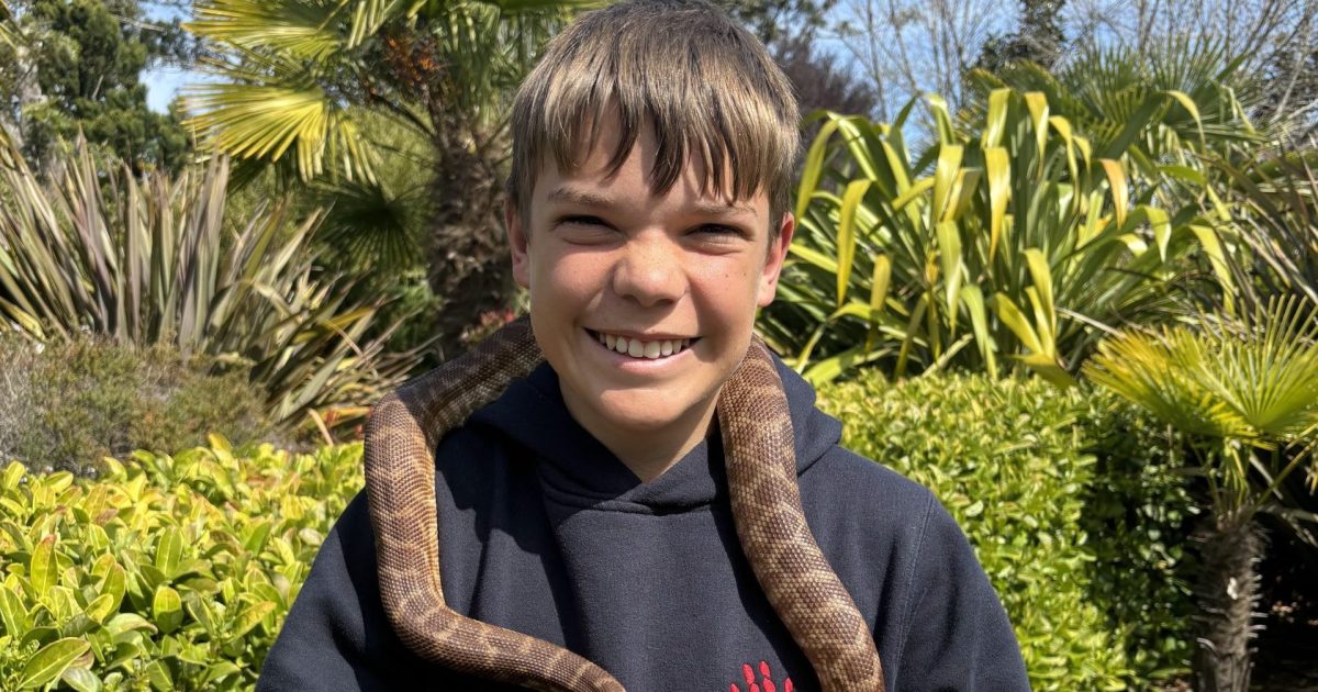 Young zoo keepers get a wild start in conservation | Riotact