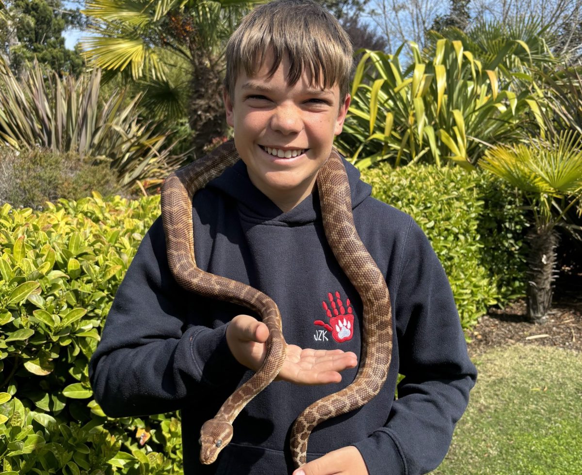 Boy holds snake