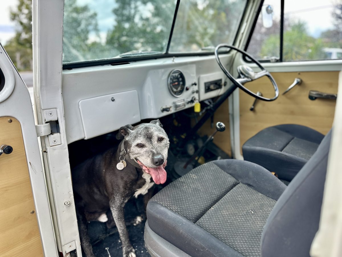 Willys Jeep Truck