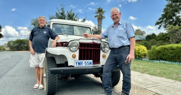 From a broken wreck in a Phillip car yard to star of this year's 'Wheels' car show