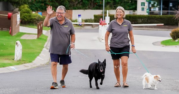 Bermagui holiday park goes to the dogs – and it pays off!