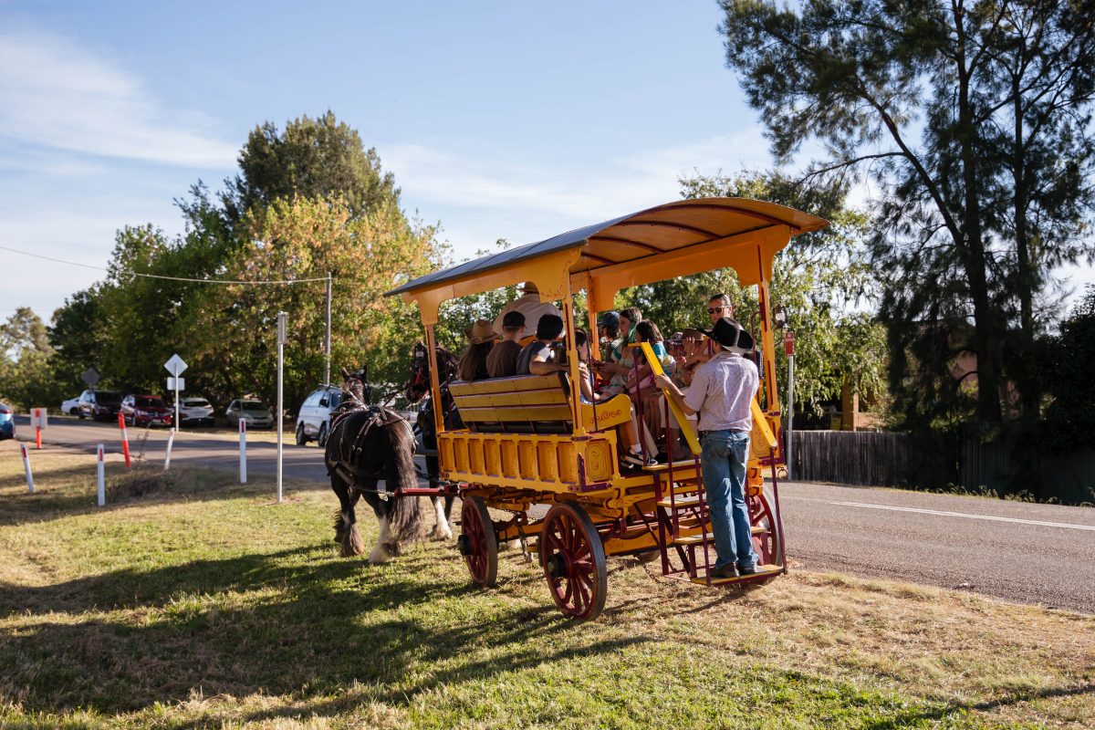 people riding in a horse and carriage