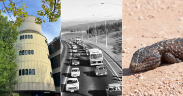 QUIZ: Can you recognise the Canberra road in the '70s? Plus 9 other questions