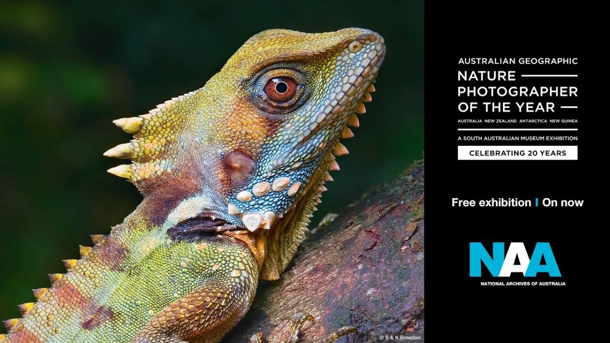 image for the 20 year aus geo nature photographer event 