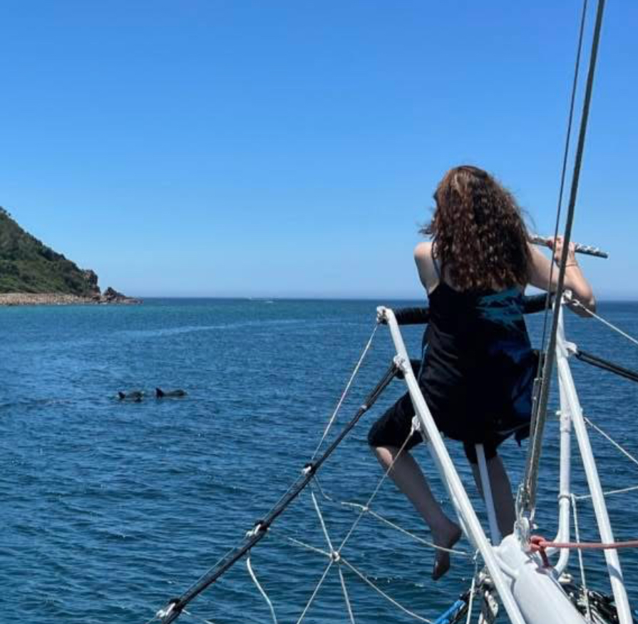 Sally Walker playing to dolphins in Port Stephens. 