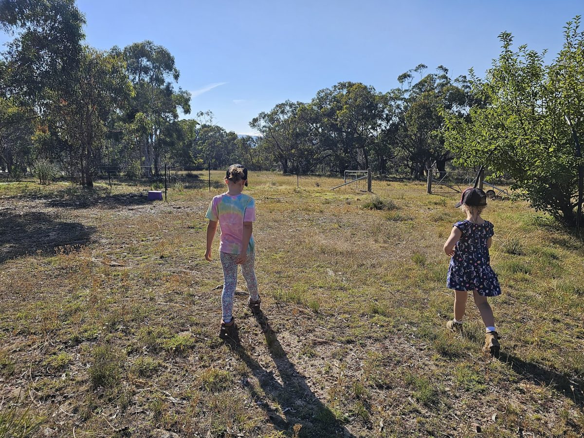 two children in a paddock