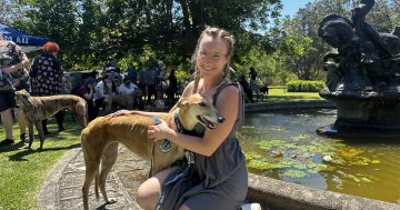 ANU event to find new homes for 30-plus 'lanky goofballs'