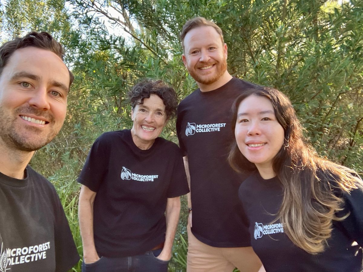 Four people standing amongst greenery