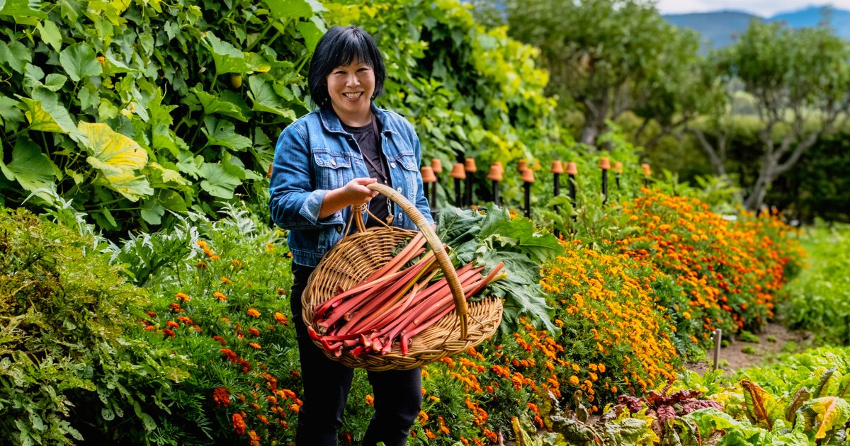 ‘You get this wonderful fresh fruit taste’: Meet the woman keeping Canberra’s oldest jam recipes alive | Riotact