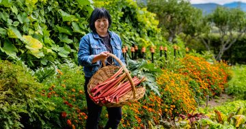 'You get this wonderful fresh fruit taste': Meet the woman keeping Canberra's oldest jam recipes alive