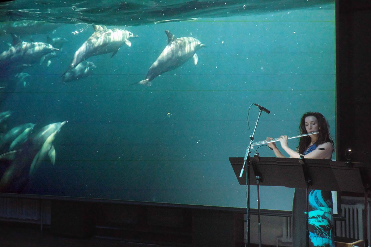 Sally Walker plays at a preview of <em>Living Poems of the Sea</em> for the 2025 Canberra International Music Festival. 