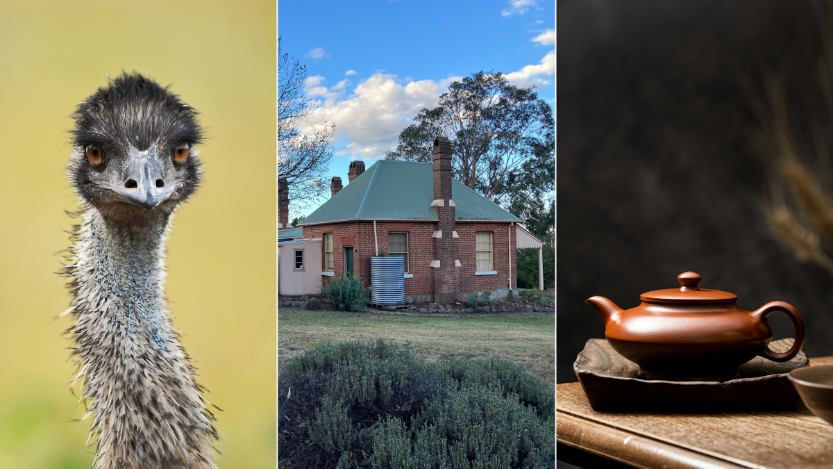 emu, old building, teapot