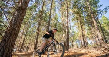 Mt Tumbarumba opening a milestone in community's ride to revival