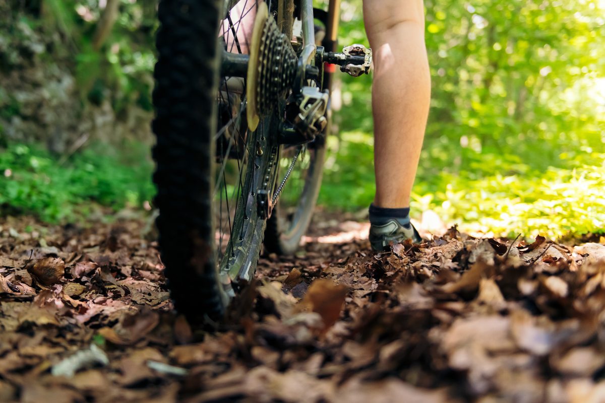 cyclist leg and wheel of a mountain bike