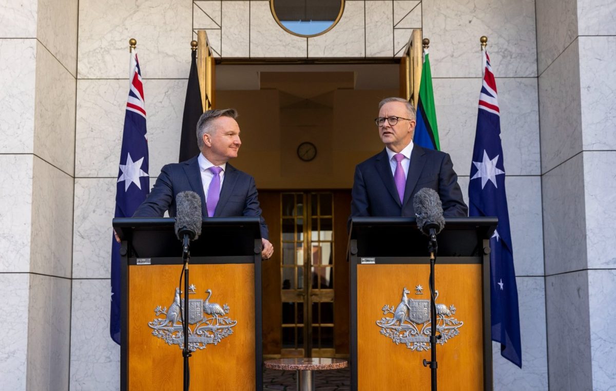 Chris Bowen & Anthony Albanese