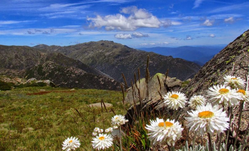 Kosciuszko National Park. Photo: Mike Bremers