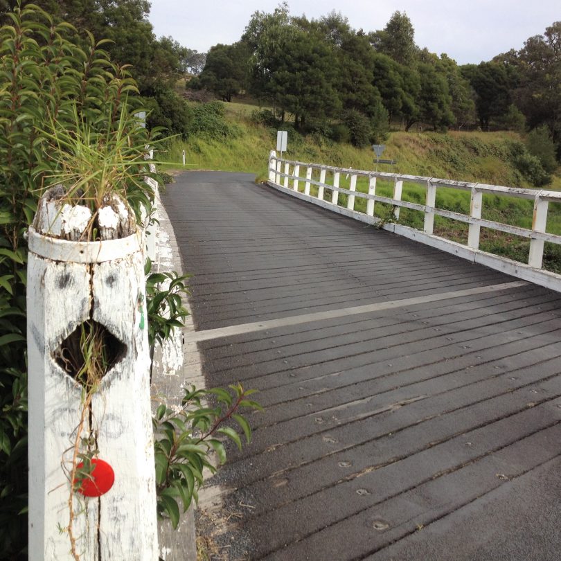 A wander along country reveals all kinds of detail we don't see driving. Photo: Elka Wood.