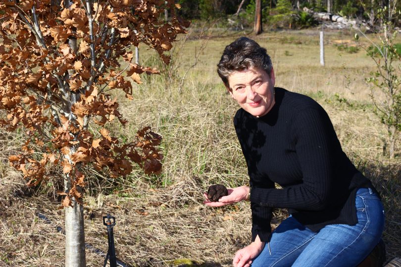 Fiona Kotvojs on her family's farm at Dignams Creek during this season's truffle harvest. Photo: Supplied.