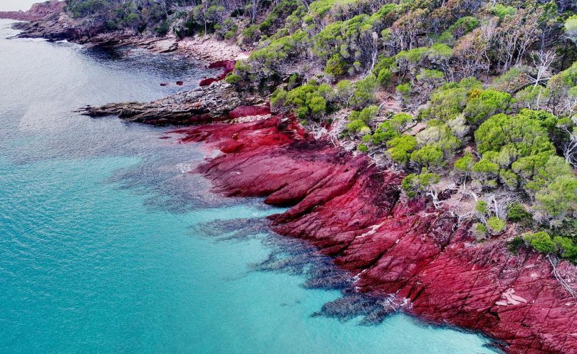 The vibrant colours of Ben Boyd National Park. Photo: Light 2 Light Coastal Walks.