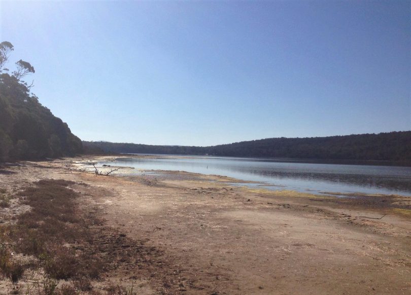 Although Wallagoot Lake is known as a shallow estuary, it is actually extremely deep - up to 11m - in places, Nick Yee says. Photo: Luke Brown. 