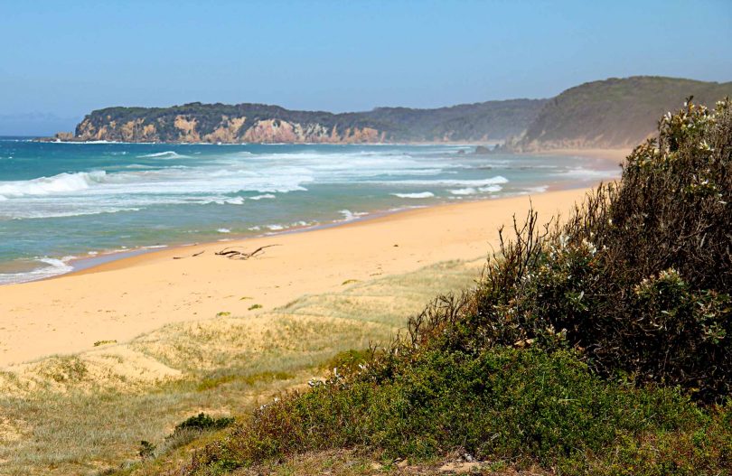 Gillards Beach, north of Tathra. Photo: NPWS