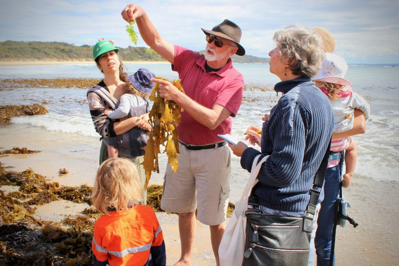 Seaweed workshop attendees