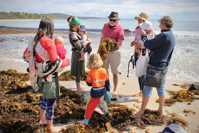 Seaweed workshop