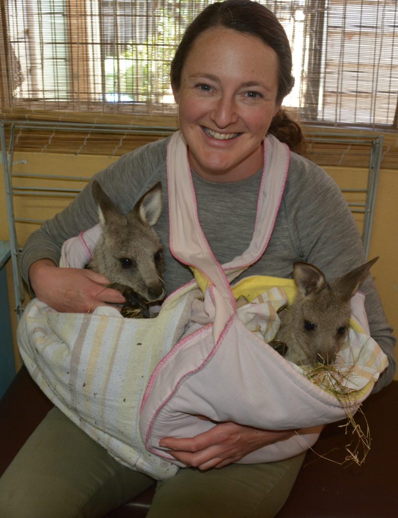 First-time wildlife carer Candice Anderson