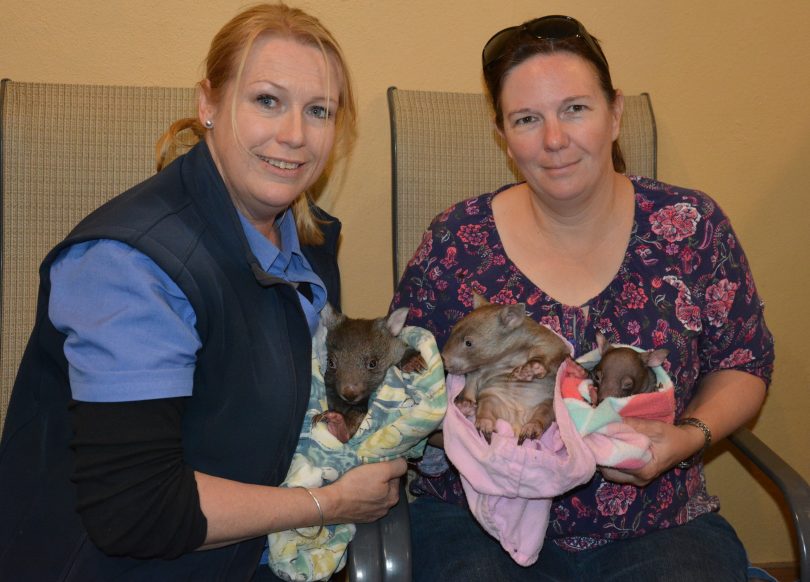 Wildlife carers Kelly McMahon and Jenny Williams 